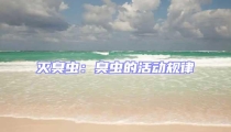 滅臭蟲(chóng):臭蟲(chóng)的活動(dòng)規(guī)律