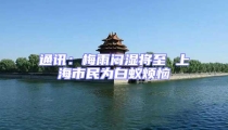 通訊:梅雨悶濕將至 上海市民為白蟻煩惱