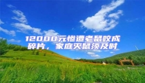 12000元慘遭老鼠咬成碎片,家庭滅鼠須及時(shí)