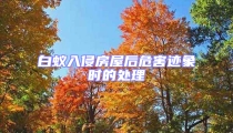 白蟻入侵房屋后危害跡象時的處理