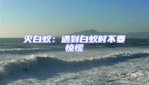 滅白蟻:遇到白蟻時不要驚慌