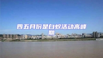 四五月份是白蟻活動(dòng)高峰期