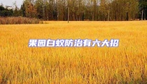 果園白蟻防治有六大招