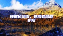 硬底化路面,竟成老鼠庇護所