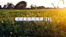 老鼠家族趣聞錄(1)