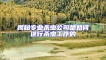 揭秘專業殺蟲公司是如何進行殺蟲工作的