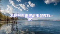 怎樣判斷家里是不是有白蟻