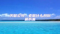 滅鼠公司:老鼠什么月份最厲害