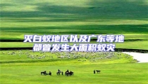 滅白蟻地區以及廣東等地都曾發生大面積蟻災