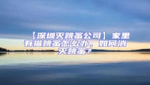 【深圳滅跳蚤公司】家里有貓?zhí)樵趺崔k,如何消滅跳蚤?