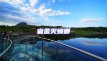 宿舍滅蟑螂