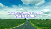 蟑螂怎么徹底消滅?蟑螂藥哪種最好用?