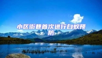 小區街巷首次進行白蟻預防