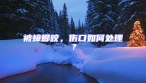 被蟑螂咬,傷口如何處理?