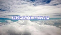 白蟻滅治有哪幾種方法