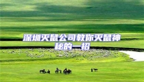 深圳滅鼠公司教你滅鼠神秘的一招