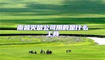 南昌滅鼠公司用的是什么工具