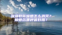 深圳教你蟑螂怎么消滅?蟑螂藥哪種最好用?