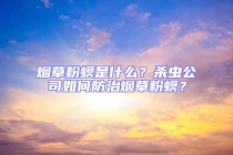 煙草粉螟是什么？殺蟲公司如何防治煙草粉螟？