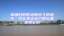 深圳白蟻防治所紛飛蟻趨光,可在靠近窗戶的位置發現它們