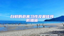 白蟻的危害習性及最佳預防措施