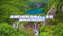 深圳白蟻防治中心,支招如何防治白蟻!