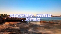 深圳白蟻防治:發現白蟻、及早處理