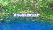 裝飾裝修白蟻預防