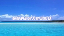 蟑螂的危害及防治概括