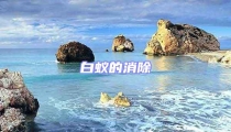 白蟻的消除