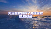 滅治白蟻的兩個(gè)關(guān)鍵斷蟻路,挖蟻巢