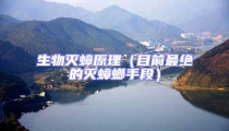 生物滅蟑原理(目前最絕的滅蟑螂手段)
