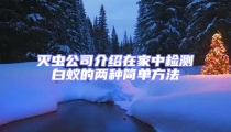 滅蟲公司介紹在家中檢測白蟻的兩種簡單方法