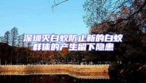 深圳滅白蟻防止新的白蟻群體的產生留下隱患