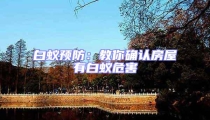 白蟻預防:教你確認房屋有白蟻危害