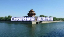 白蟻侵蝕橫梁 屋頂坍塌