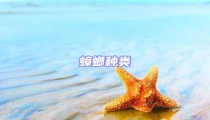 蟑螂種類
