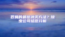 蒼蠅的最佳消滅方法?除蟲公司給您分析