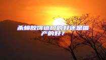 殺蟑膠餌進口的好還是國產的好?