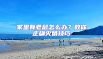 家里有老鼠怎么辦?教你正確滅鼠技巧
