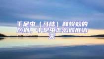 千足蟲(馬陸)和蜈蚣的區別,千足蟲怎么徹底消滅