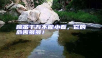 跳蚤千萬不能小看,它的危害多多!
