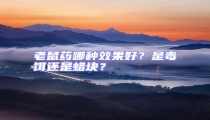 老鼠藥哪種效果好?是毒餌還是蠟塊?