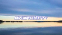 夏天如何驅除蚊子?