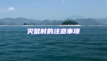 滅鼠時的注意事項