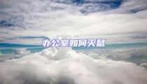 辦公室如何滅鼠