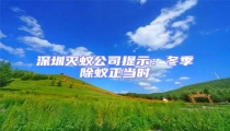 深圳滅蟻公司提示:冬季除蟻正當時