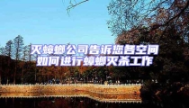 滅蟑螂公司告訴您各空間如何進行蟑螂滅殺工作