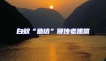 白蟻“造訪”侵蝕老建筑