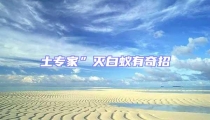 土專家”滅白蟻有奇招